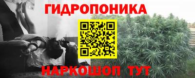 дмт Кимры