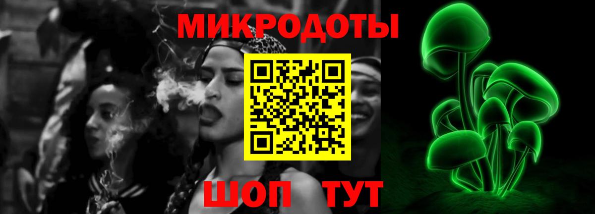 Кострома  Псилоцибиновые грибы прущие грибы  Вход с VPN  Галлюциногенные грибы Psilocybe 